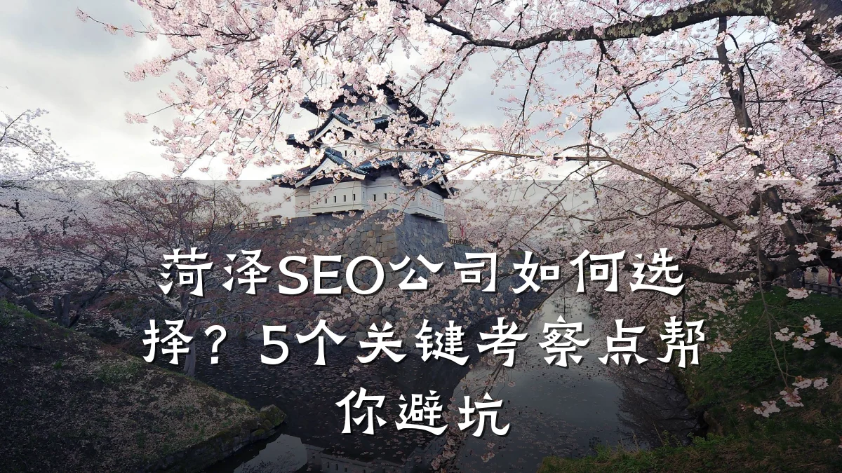 菏泽SEO公司如何选择?5个关键考察点帮你避坑