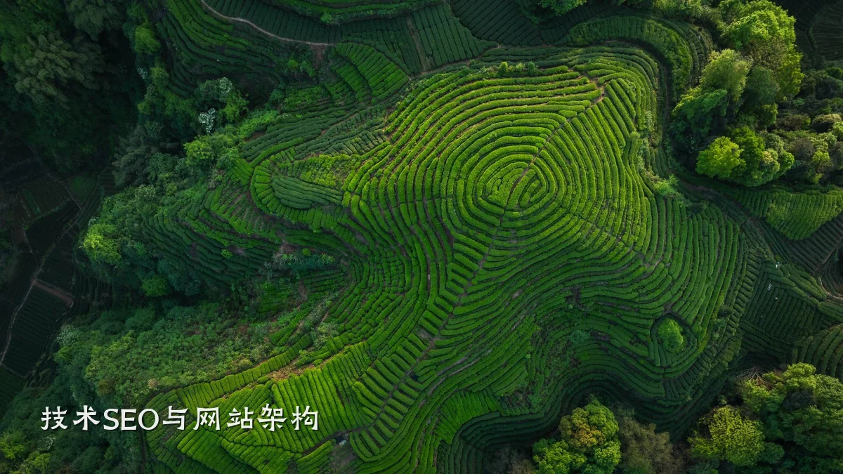 技术SEO与网站架构