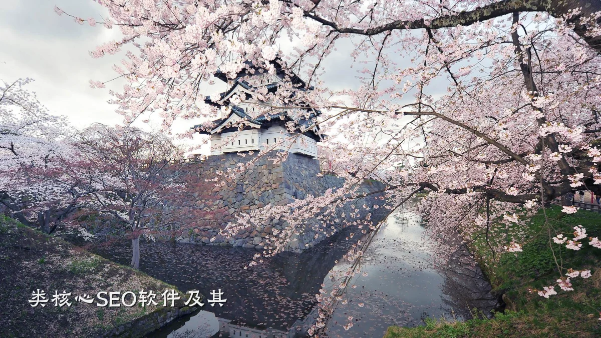 类核心SEO软件及其