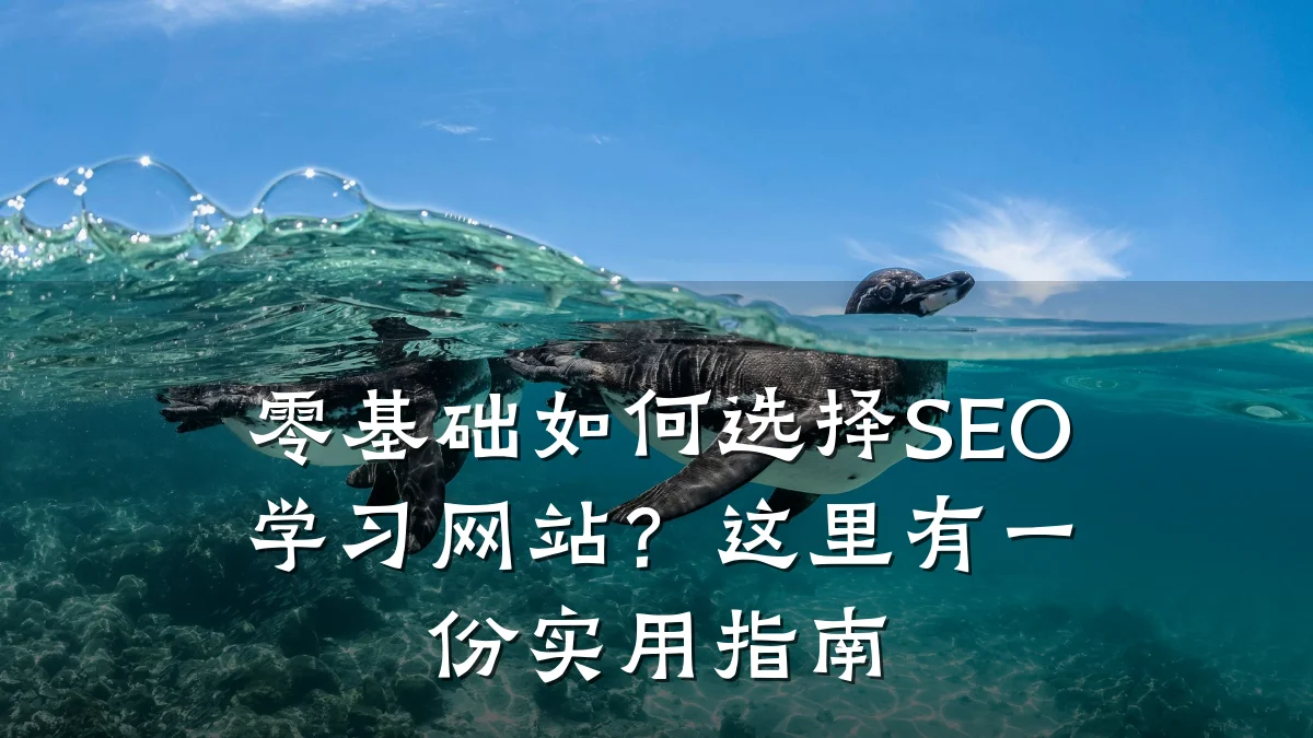 零基础如何选择SEO学习网站?这里有一份实用指南