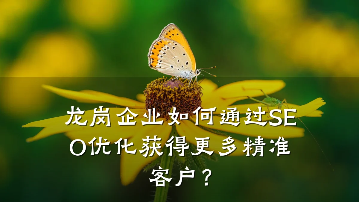 龙岗企业如何通过SEO优化获得更多精准客户?