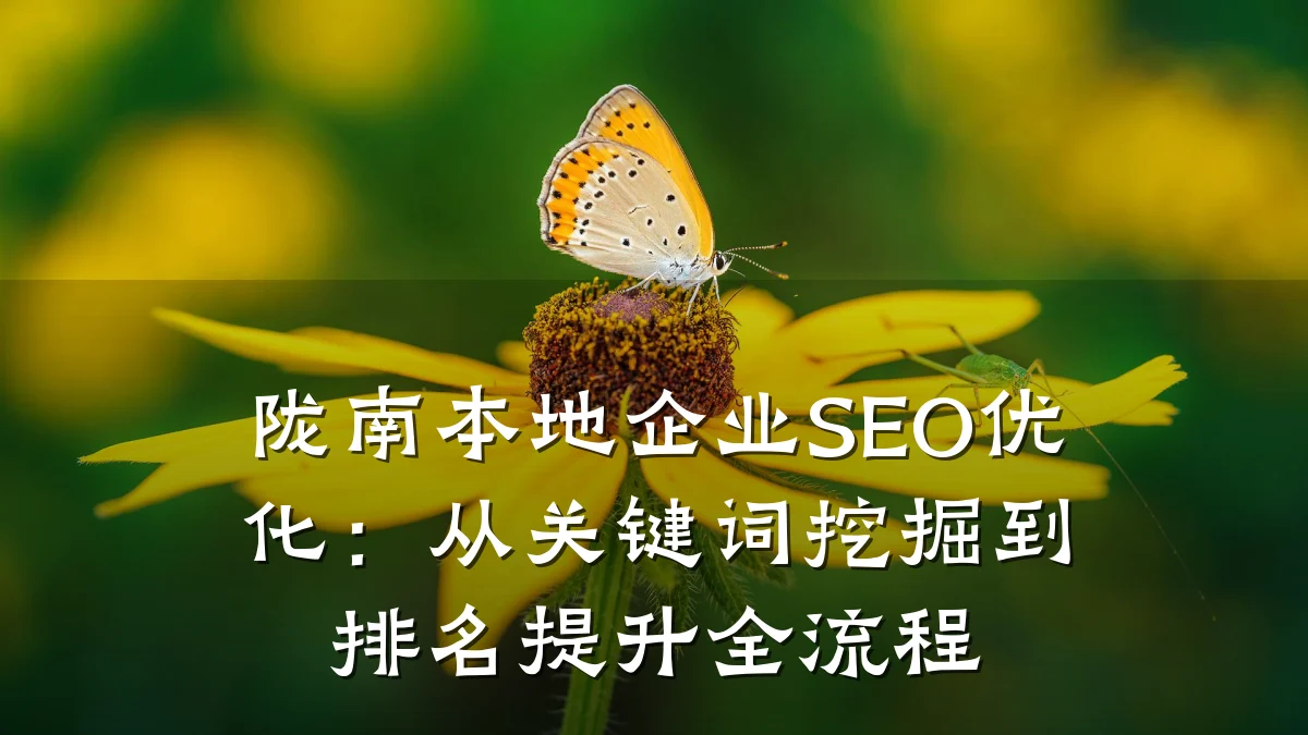 陇南本地企业SEO优化:从关键词挖掘到排名提升全流程