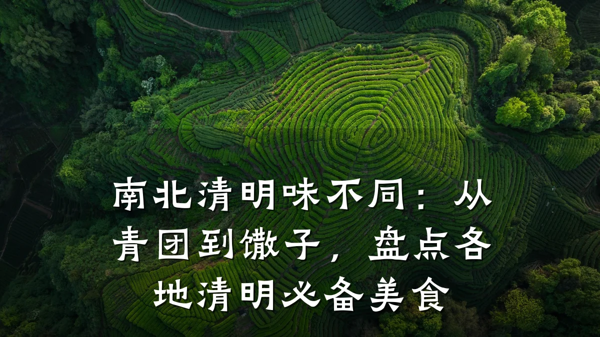南北清明味不同：从青团到馓子，盘点各地清明必备美食