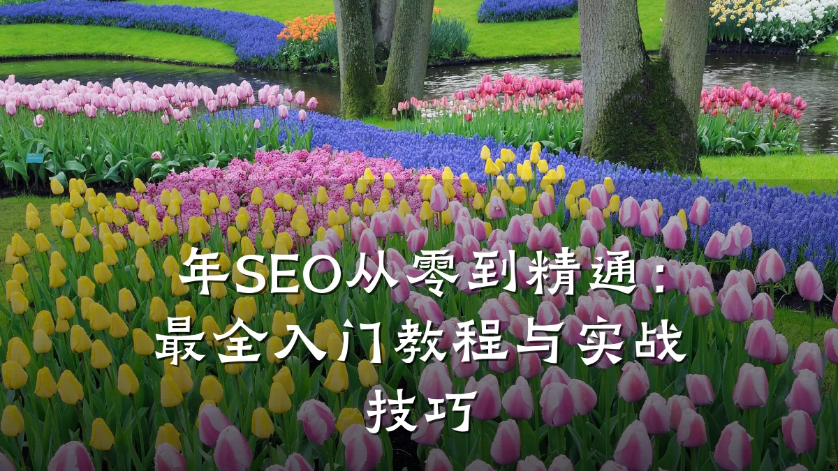 年SEO从零到精通:最全入门教程与实战技巧