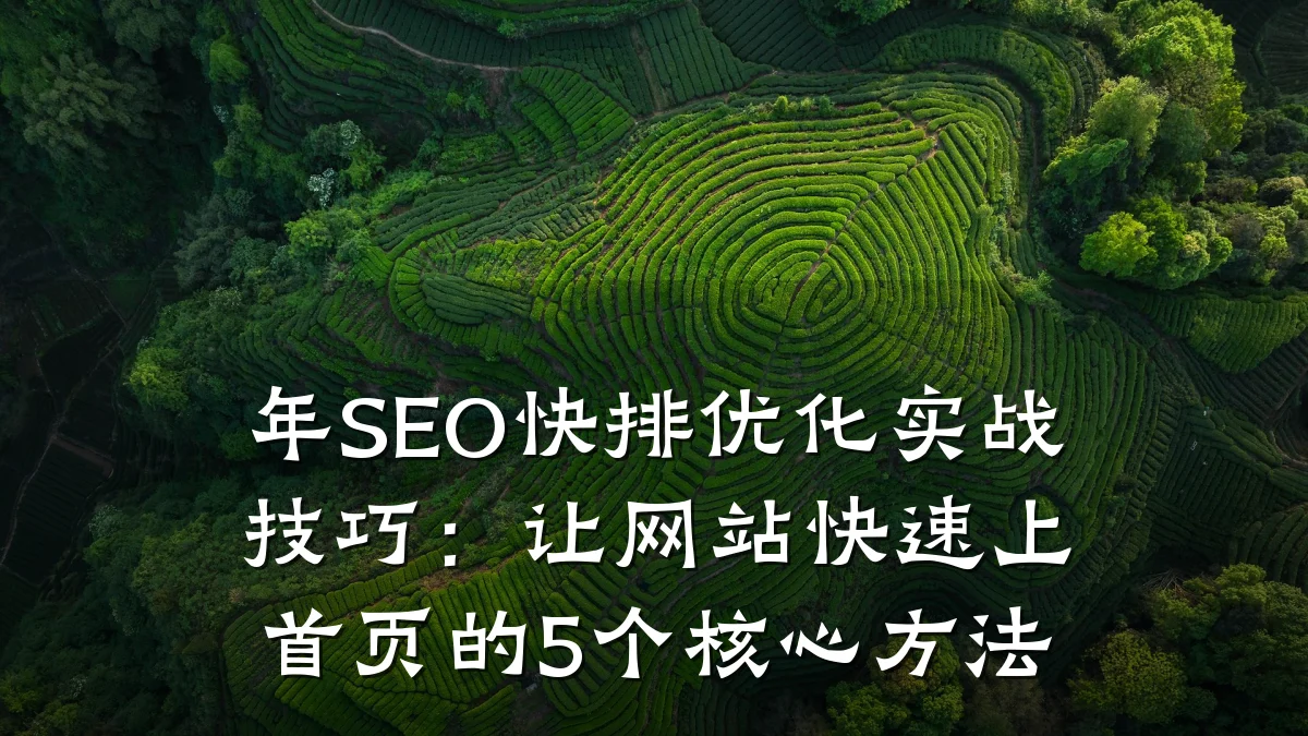 年SEO快排优化实战技巧:让网站快速上首页的5个核心方法