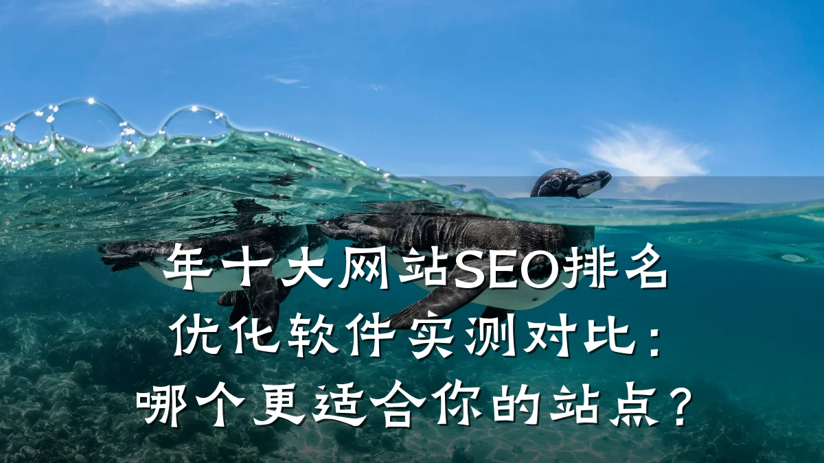 年十大网站SEO排名优化软件实测对比:哪个更适合你的站点?