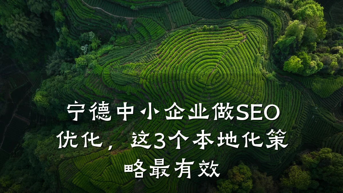 宁德中小企业做SEO优化,这3个本地化策略最有效