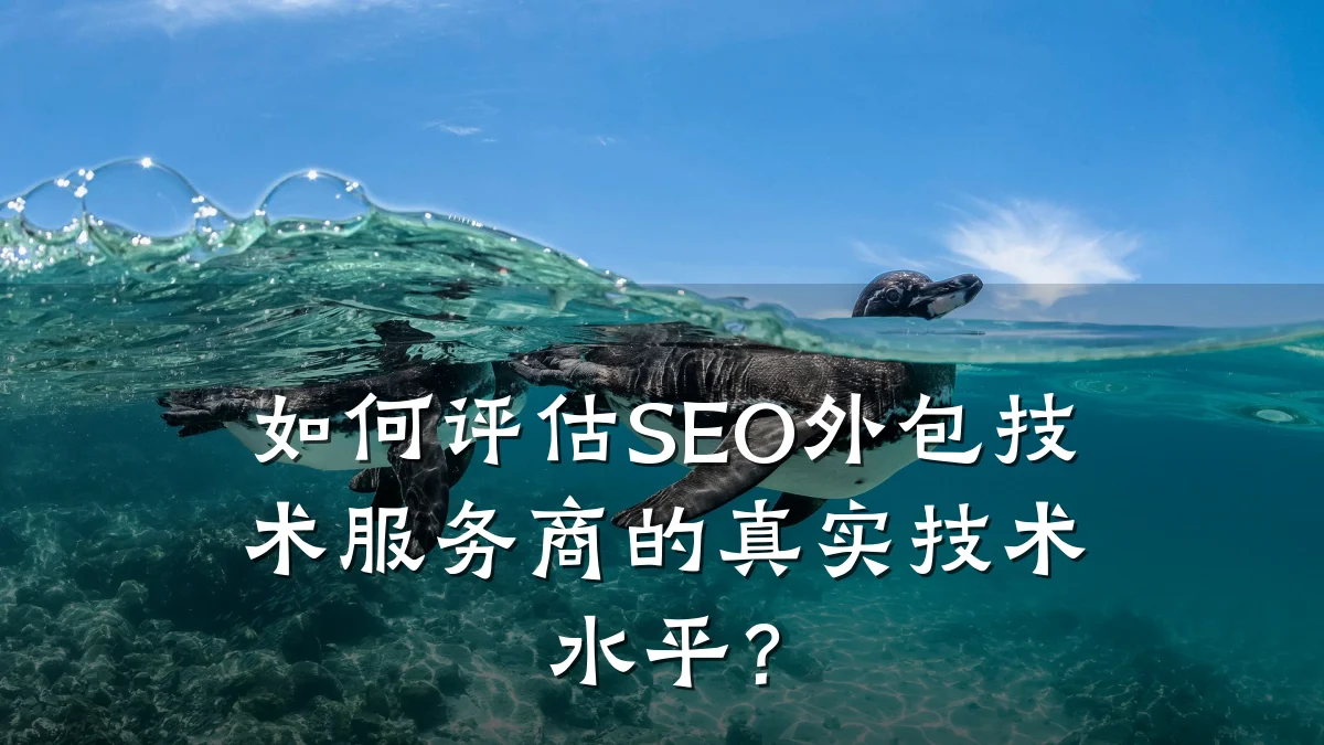 如何评估SEO外包技术服务商的真实技术水平?