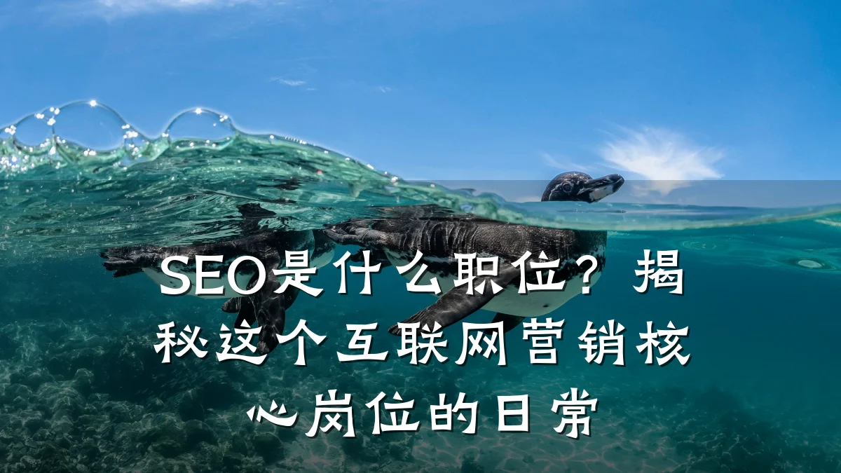 SEO是什么职位?揭秘这个互联网营销核心岗位的日常