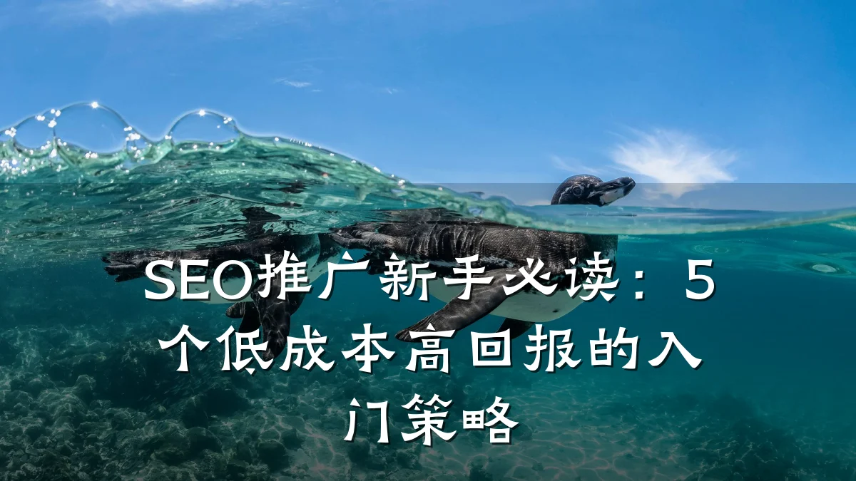 SEO推广新手必读:5个低成本高回报的入门策略