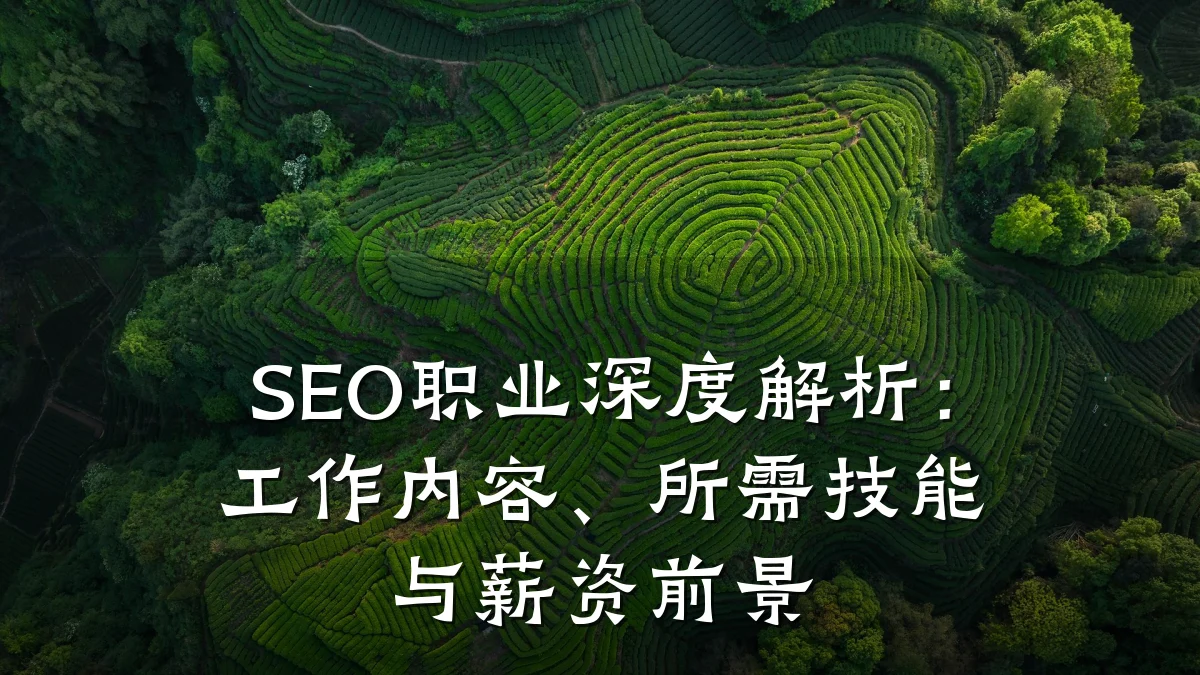 SEO职业深度解析:工作内容、所需技能与薪资前景