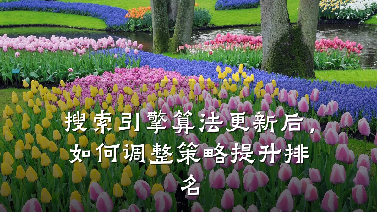 搜索引擎算法更新后,如何调整策略提升排名