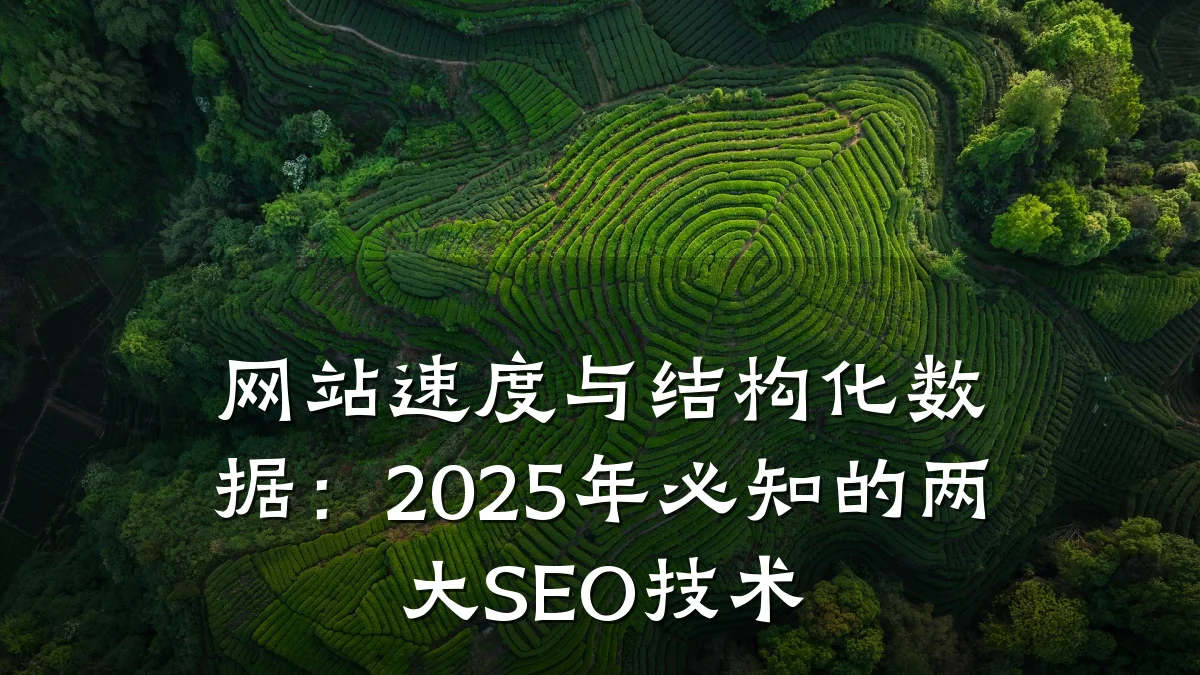 网站速度与结构化数据:2025年必知的两大SEO技术
