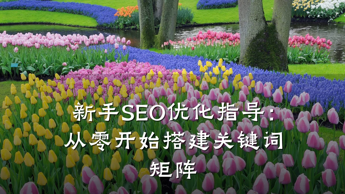 新手SEO优化指导:从零开始搭建关键词矩阵