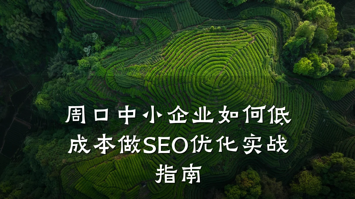 周口中小企业如何低成本做SEO优化实战指南