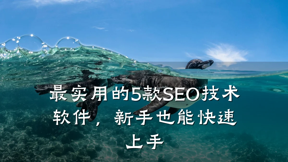最实用的5款SEO技术软件,新手也能快速上手