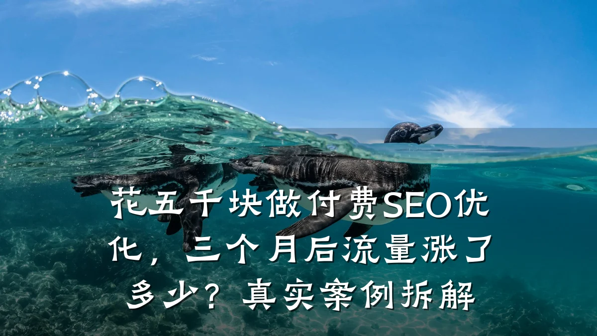 花五千块做付费SEO优化,三个月后流量涨了多少?真实案例拆解