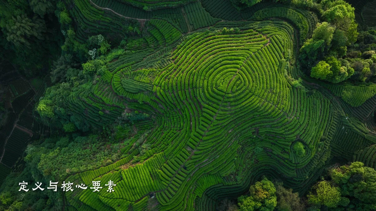 定义与核心要素