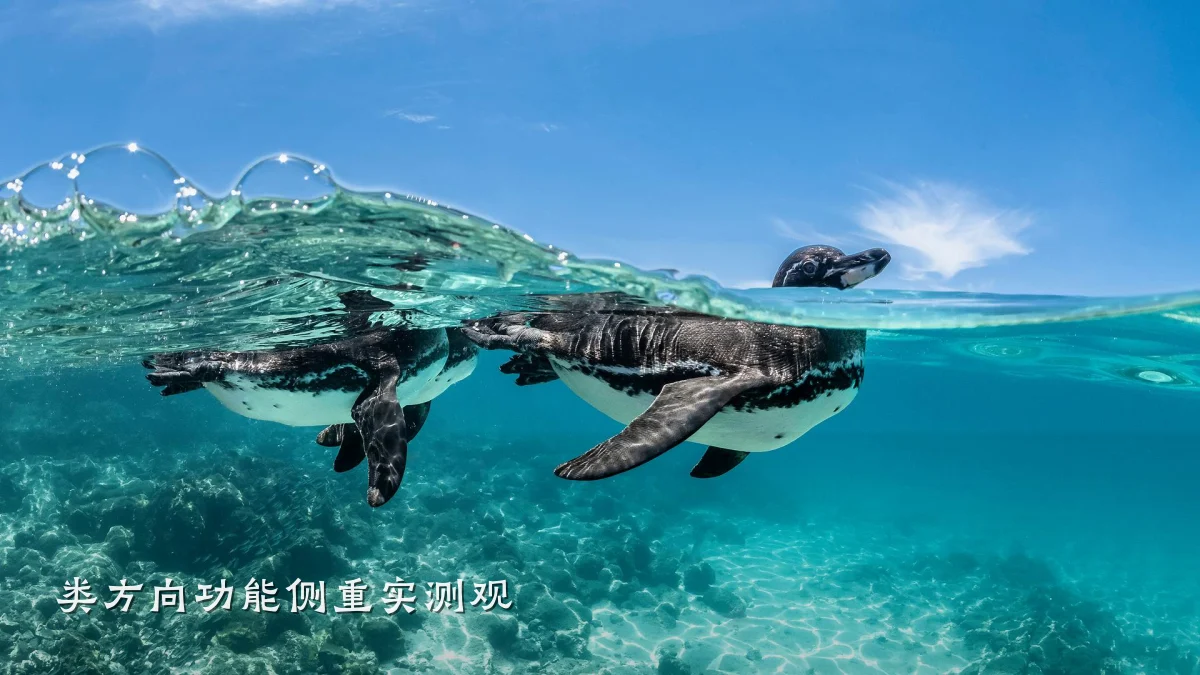 类方向功能侧重实测观