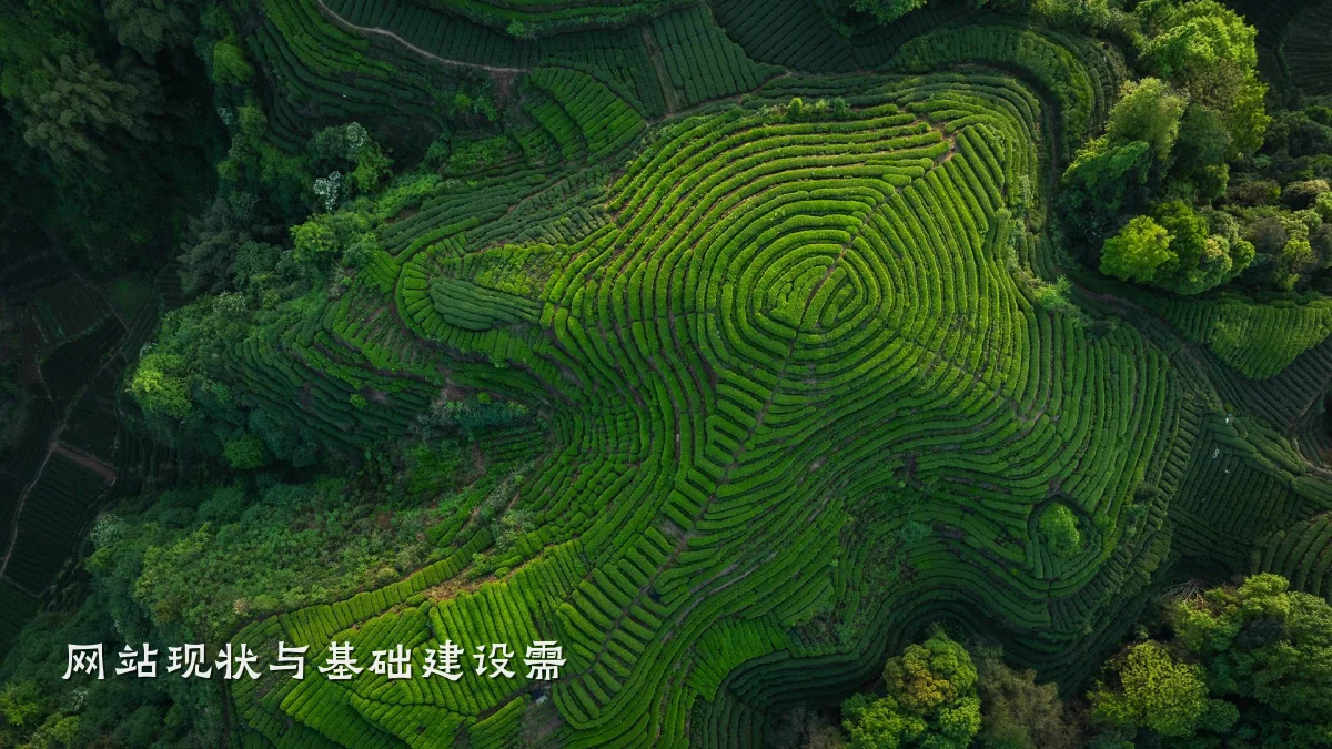 网站现状与基础建设需