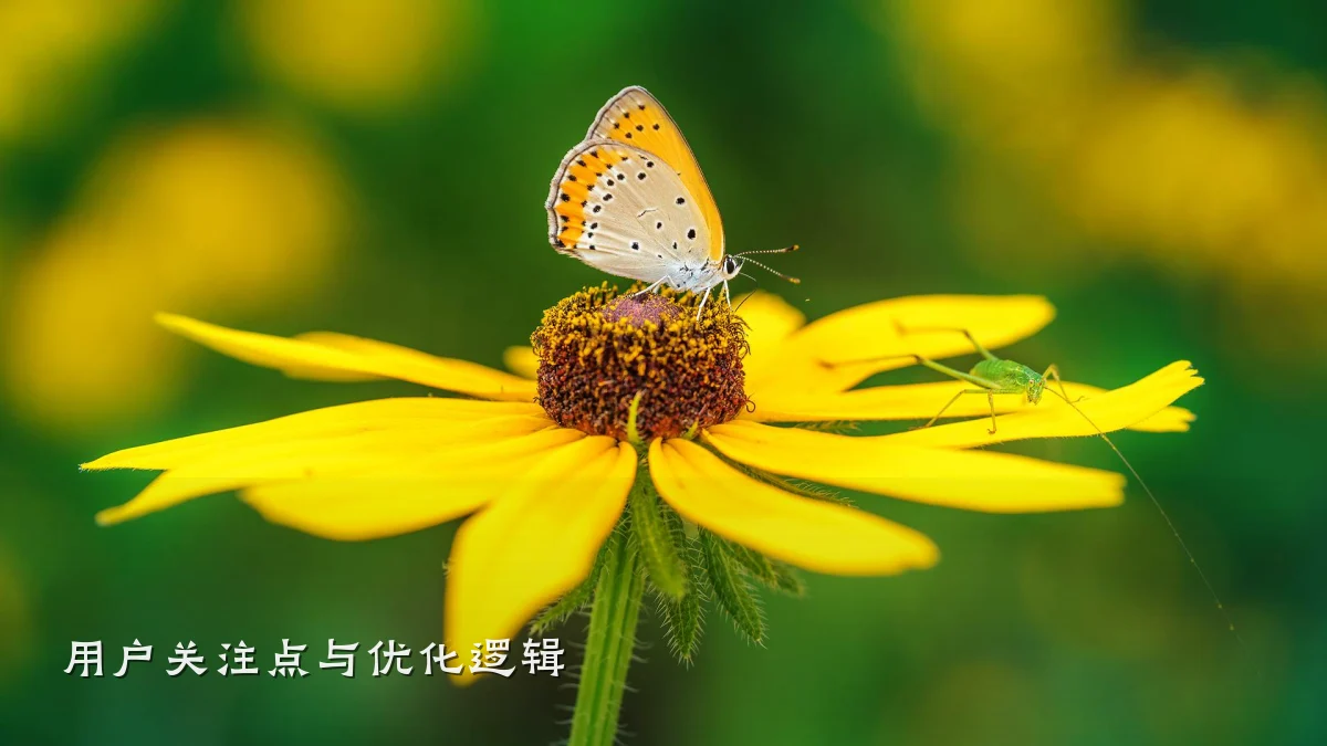 用户关注点与优化逻辑