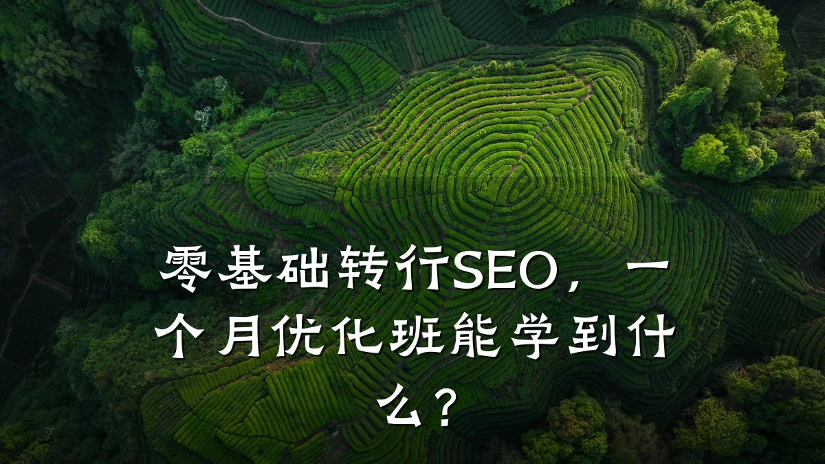 零基础转行SEO,一个月优化班能学到什么?