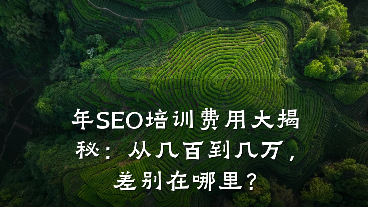 年SEO培训费用大揭秘:从几百到几万,差别在哪里?