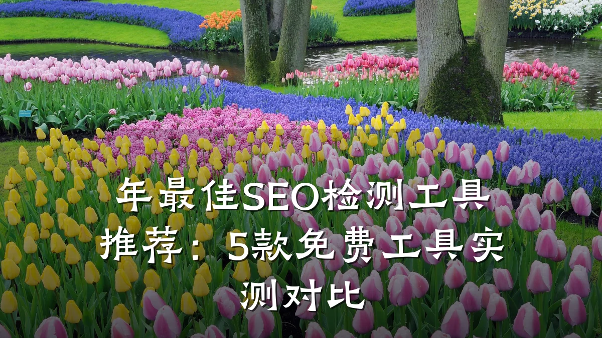 年最佳SEO检测工具推荐:5款免费工具实测对比