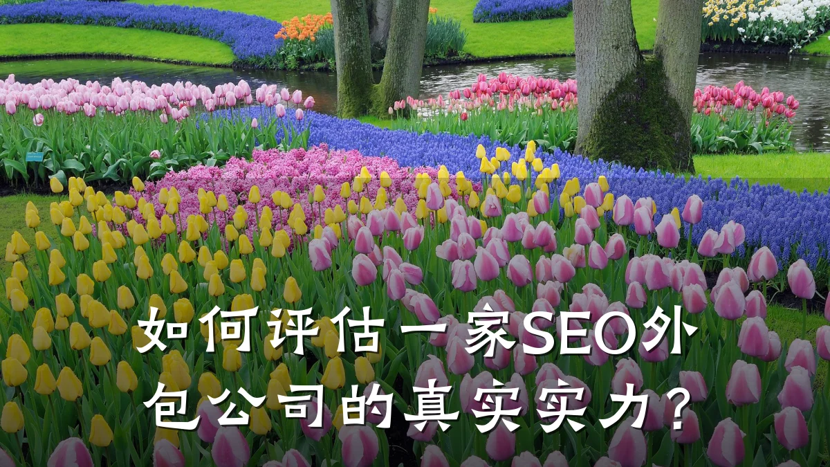 如何评估一家SEO外包公司的真实实力?