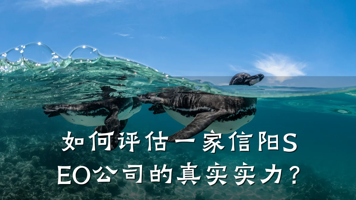 如何评估一家信阳SEO公司的真实实力?