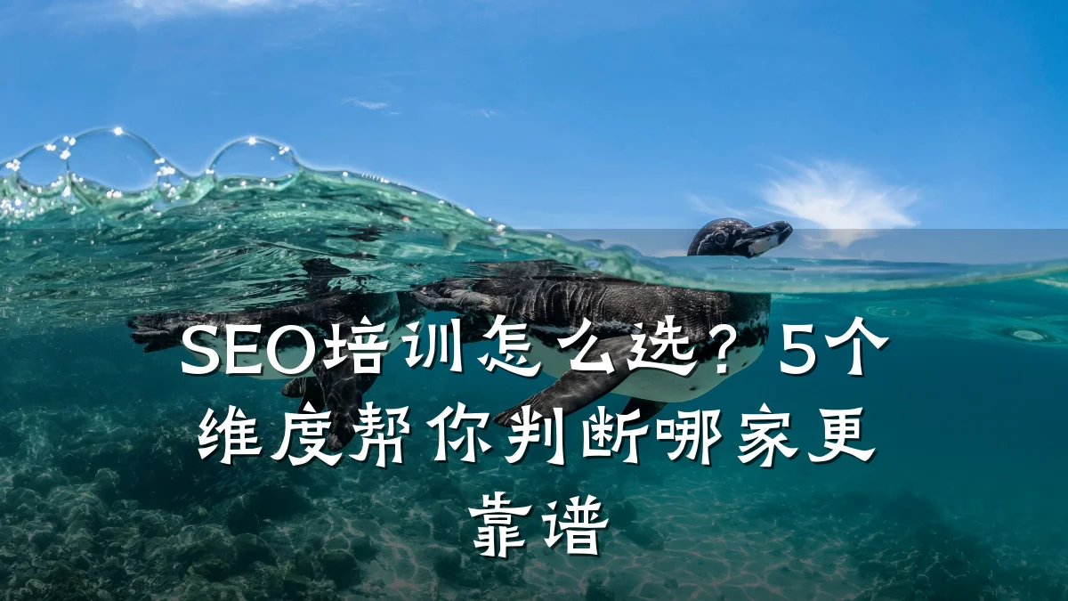 SEO培训怎么选?5个维度帮你判断哪家更靠谱