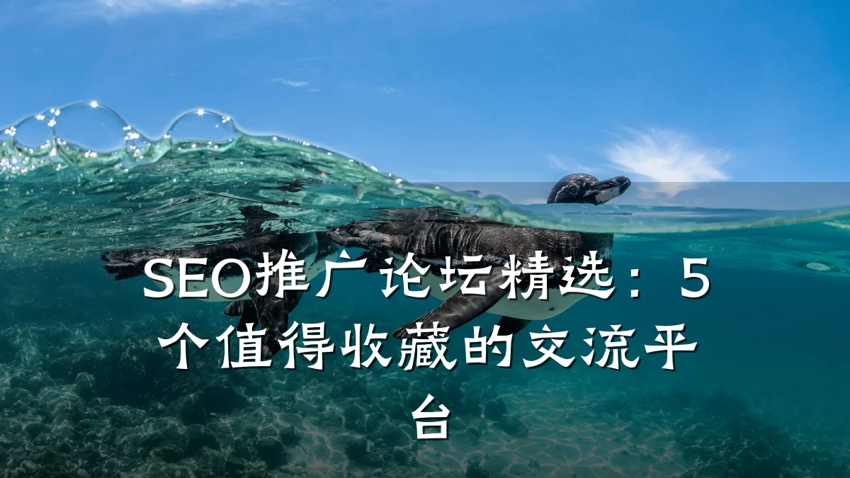 SEO推广论坛精选:5个值得收藏的交流平台