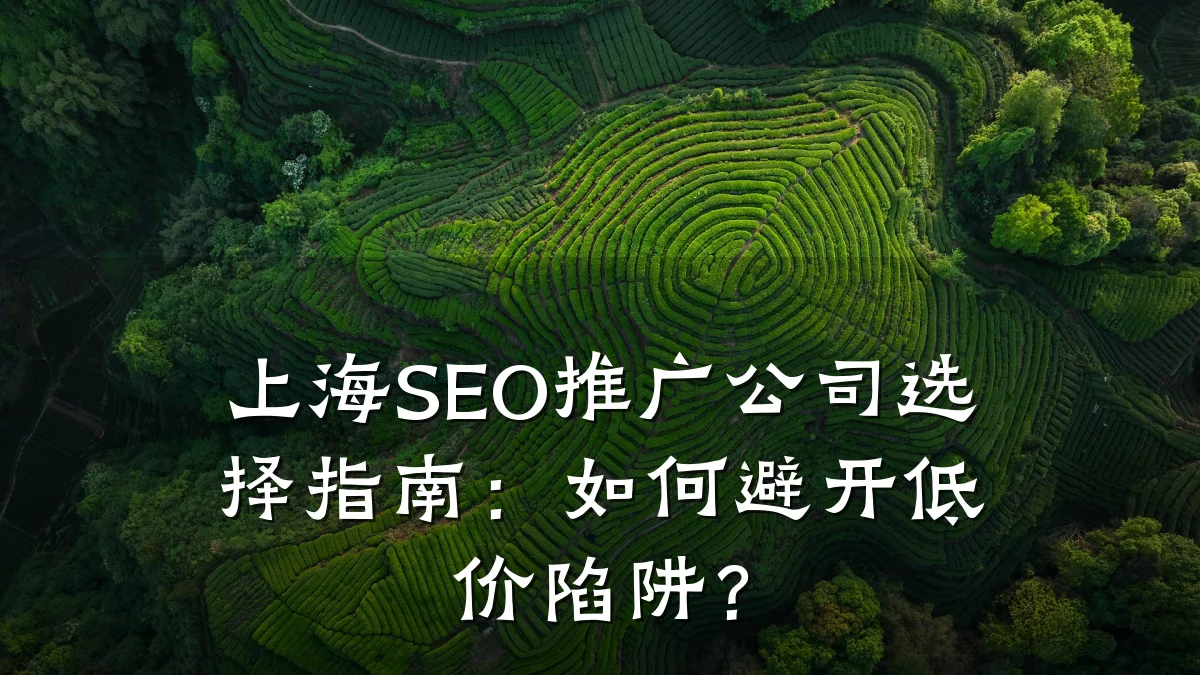 上海SEO推广公司选择指南:如何避开低价陷阱?