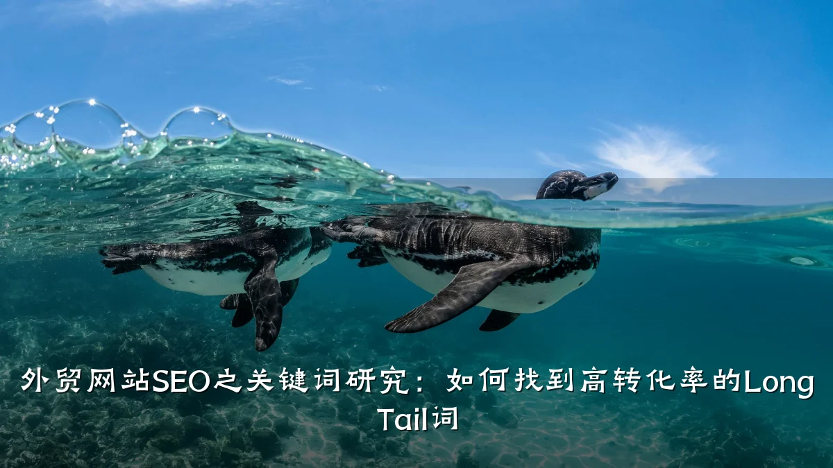 外贸网站SEO之关键词研究:如何找到高转化率的Long Tail词