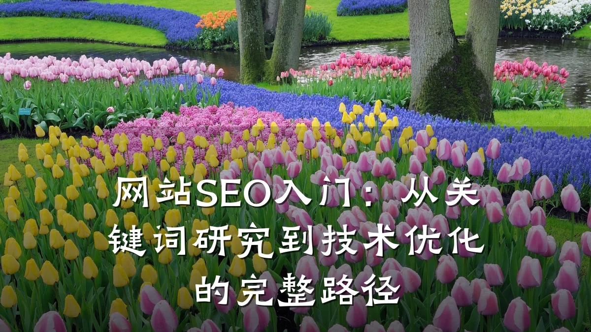 网站SEO入门:从关键词研究到技术优化的完整路径