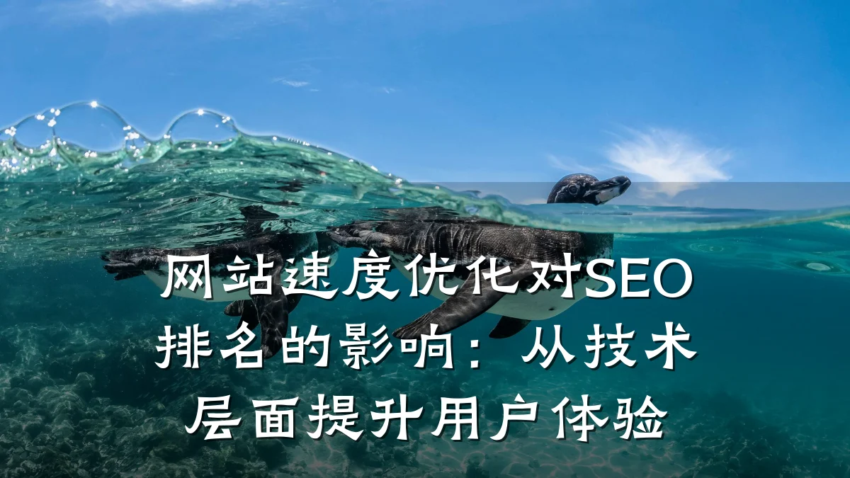 网站速度优化对SEO排名的影响:从技术层面提升用户体验
