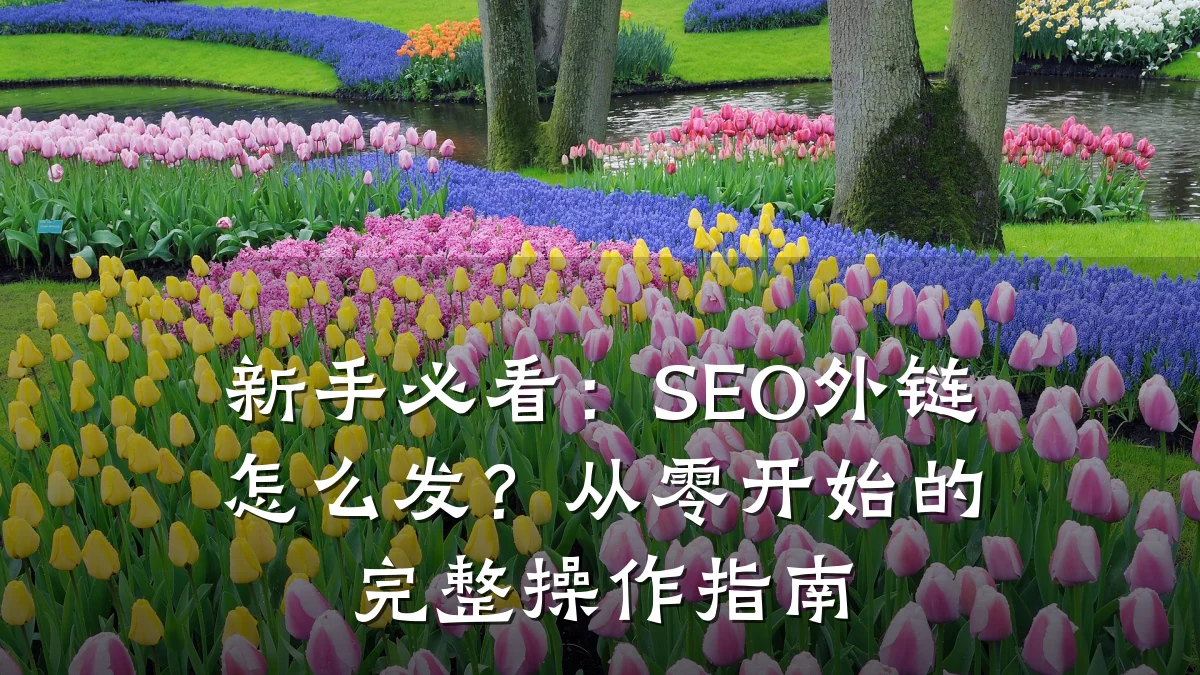 新手必看:SEO外链怎么发?从零开始的完整操作指南