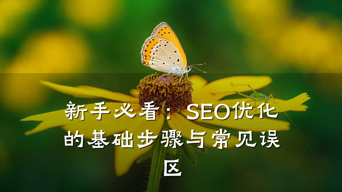 新手必看:SEO优化的基础步骤与常见误区