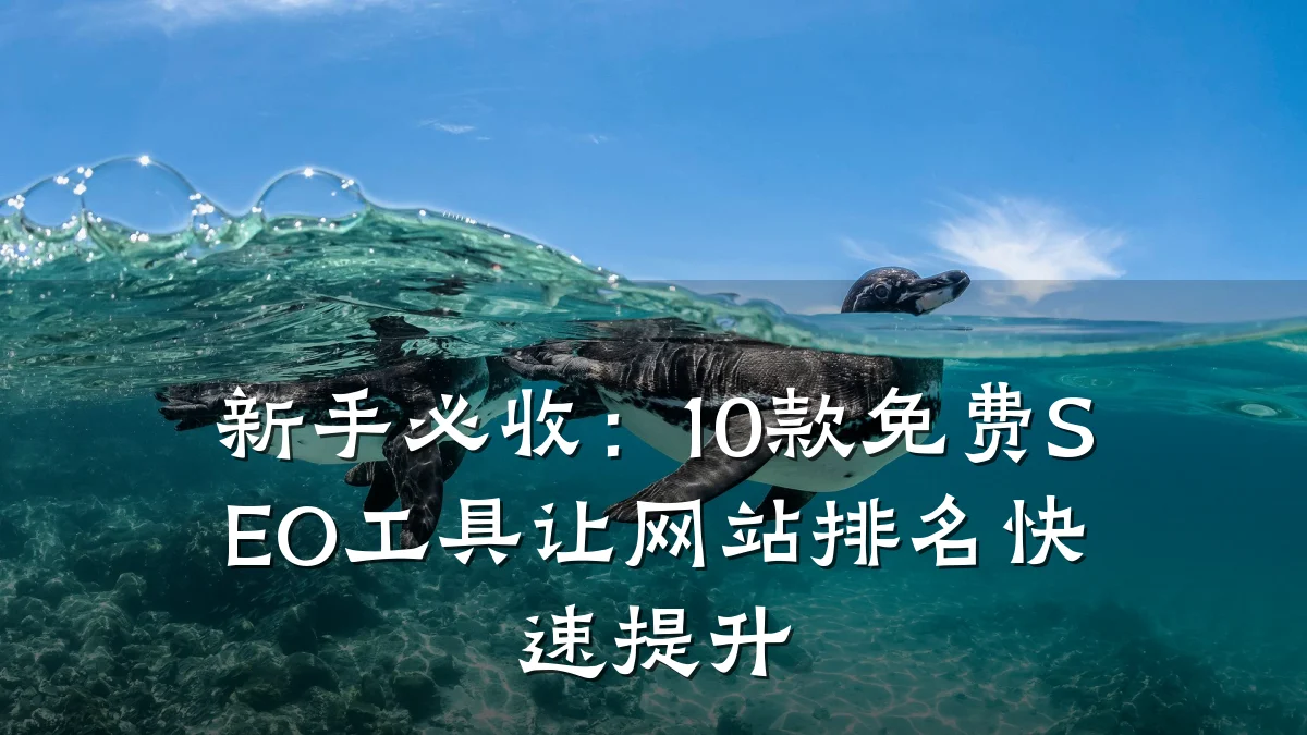 新手必收:10款免费SEO工具让网站排名快速提升