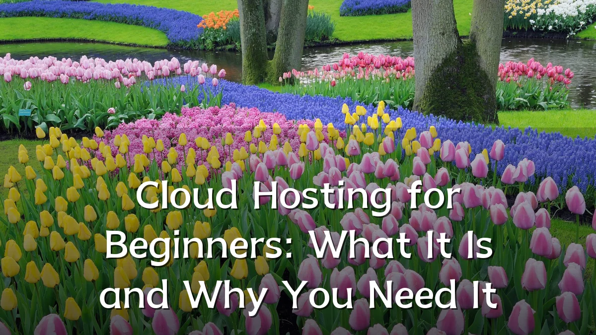 Cloud Hosting for Beginners: What It Is and Why You Need It
