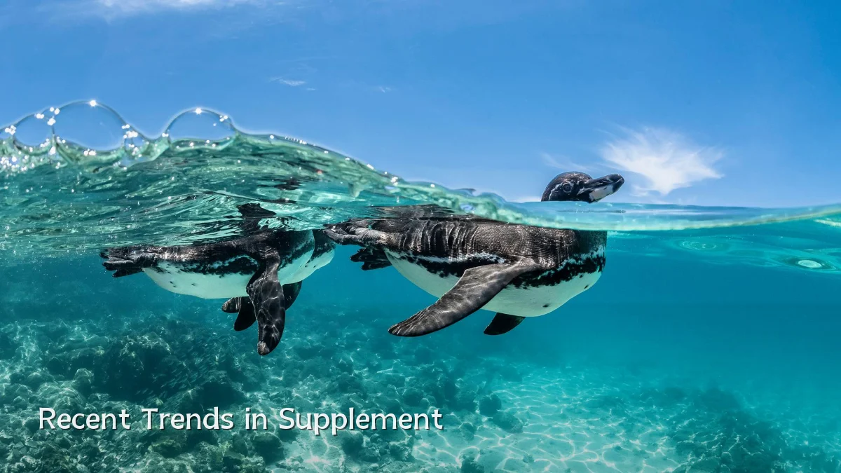Recent Trends in Supplement