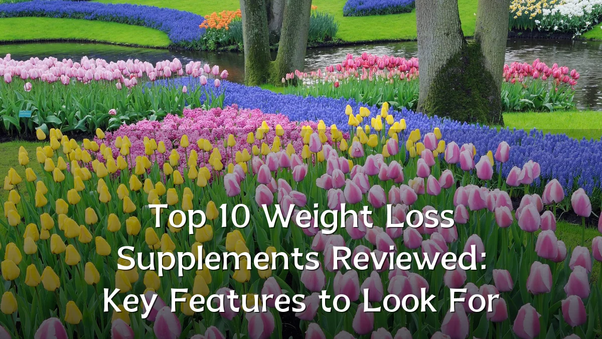 Top 10 Weight Loss Supplements Reviewed: Key Features to Look For